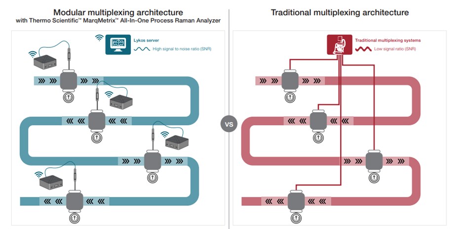 Raman systems with a modular multiplex architecture
