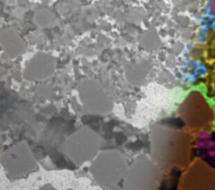 Live SEM EDS Enhances the Microstructure Analysis of Steel