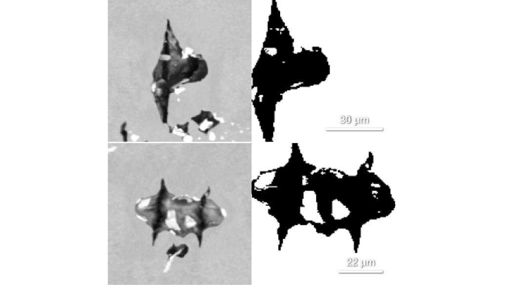 Selected images and threshold masks of damage-based pores