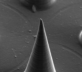 MicroNeedle seen with SEM