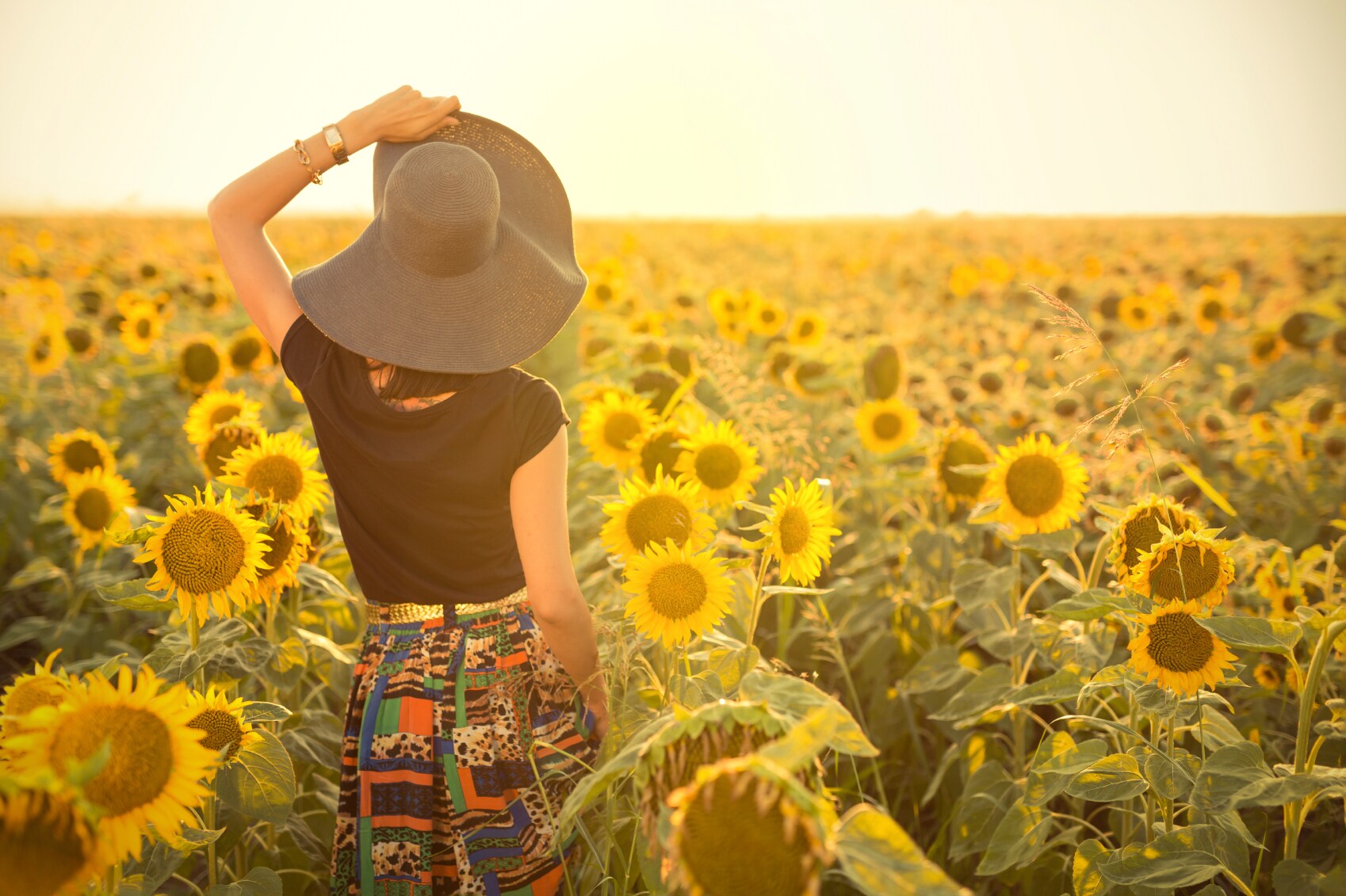 Germanium and sunflowers