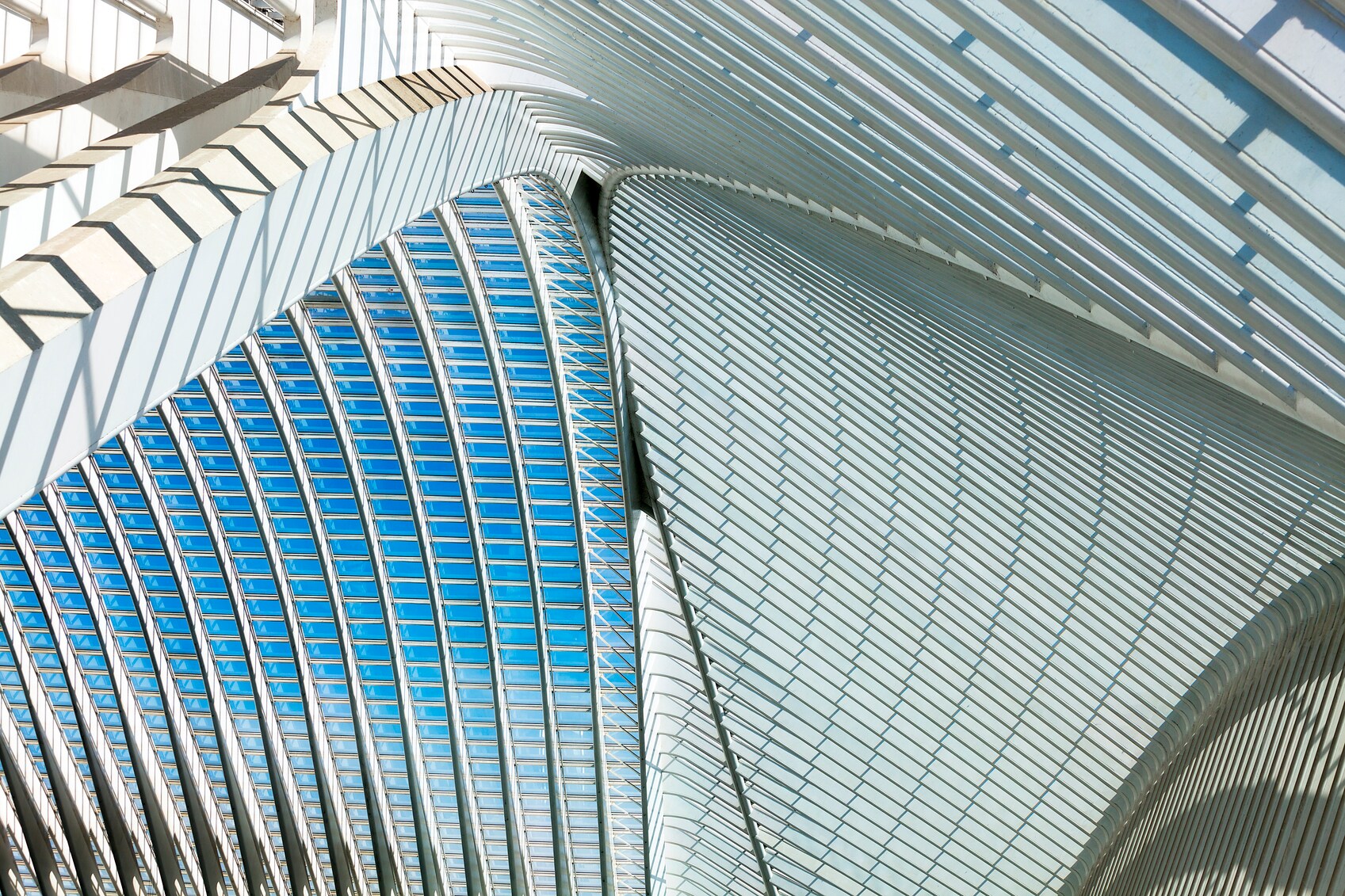 Futuristic Architecture