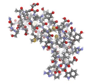 Molecular Structure - Epidermal Growth Factor