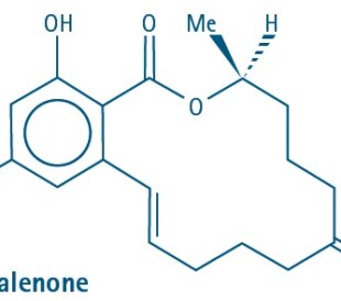 Mycotoxin Zearalanone