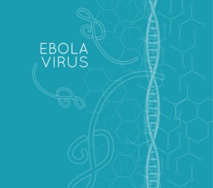 ebola virus and dna chain