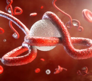 Ebola Virus Attacking a Cell