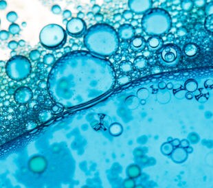 Cells. Image: Shebeko/Shutterstock.com