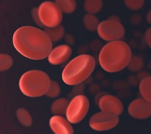 Blood cells. Image: ktsdesign/Shutterstock.com