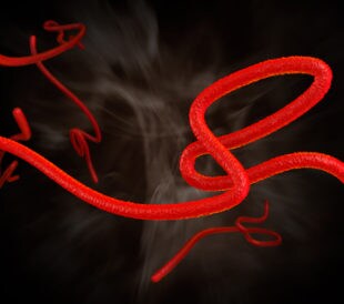 Digital illustration of ebola virus. Image: David Carillet/Shutterstock.com