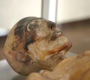 Skeleton mummy. Image: Giancarlo Liguori/Shutterstock.com
