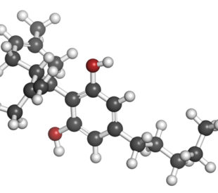 Cannabinoid. Image: molekuul.be/Shutterstock.com