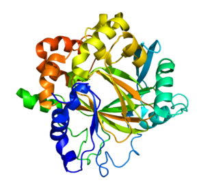 KDM4A. Image: https://commons.wikimedia.org/wiki/FileProtein_KDM4D_PDB_3DXT.png