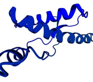 Human prion protein. Image: molekuul.be/Shutterstock.om
