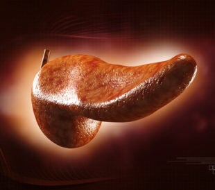 Pancreas. Image: Liya Graphics/Shutterstock.com