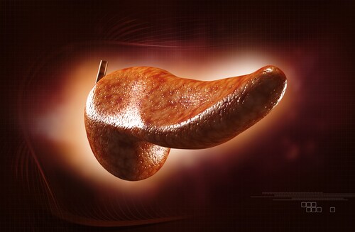 Pancreas. Image: Liya Graphics/Shutterstock.com