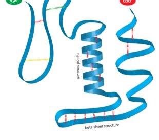 Protein structure. Image: magnetix/Shutterstock.com