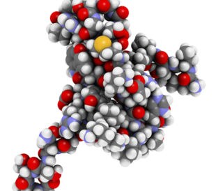 Tau protein fragment. Image: molekuul.be/Shutterstock.com