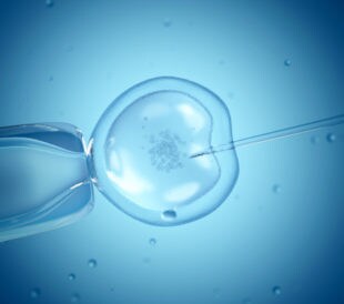 Close-up of in vitro fertilization. Image: Sebastian Kaulitzki/Shutterstock.com