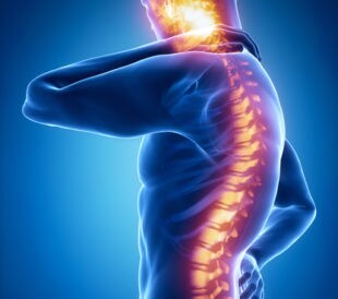 Artist illustration of spinal cord. Image: CLIPAREA l Custom media/Shutterstock.com