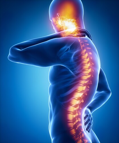 Artist illustration of spinal cord. Image: CLIPAREA l Custom media/Shutterstock.com