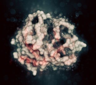Trypsin digestive enzyme. Image: molekuul_be/Shutterstock.com