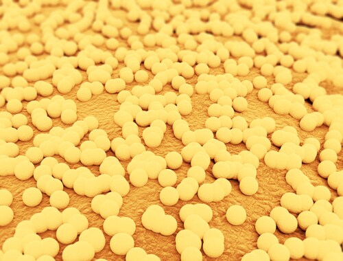 MRSA. Image: Jezper/Shutterstock.com