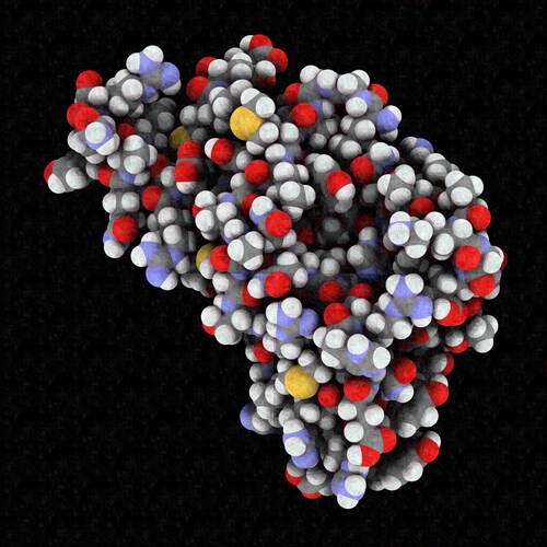 Human prion protein (hPrP), chemical structure. Associated with neurodegenerative diseases, including kuru, BSE and Creutzfeldt-Jakob. Atoms are represented as spheres with conventional color coding. Image: molekuul_be/Shutterstock.com.