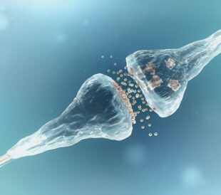 Synapse and neuron cells sending electrical chemical signals. Image: adike/Shutterstock.com.