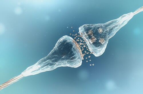 Synapse and neuron cells sending electrical chemical signals. Image: adike/Shutterstock.com.