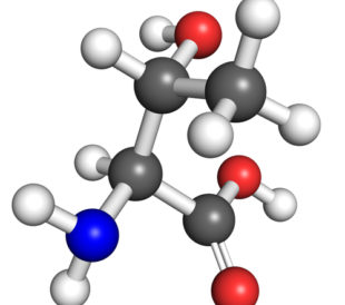 Threonine (amino acid) molecule, ball and stick model. Atoms colored according to convention. Image: petarg/Shutterstock.com.