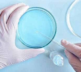 Chemical research in Petri dishes on blue background. Researcher preparing color plates in a microbiology laboratory. Hand of a technician inoculating plates. Top view. Daylight. Image: Stanislav Salamanov/Shutterstock.com.