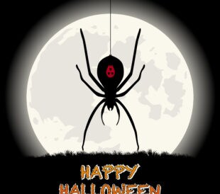 Spider Happy Halloween