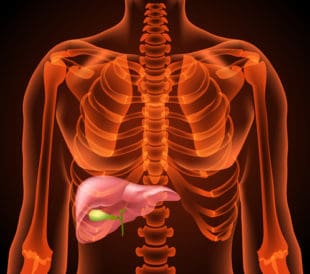 Medical structure of the liver,anatomy, 3D, neon light. Image: Elen Bushe/Shutterstock.com.