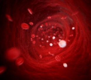 3d rendered illustration - human blood cells. Image: Sebastian Kaulitzki/Shutterstock.com.