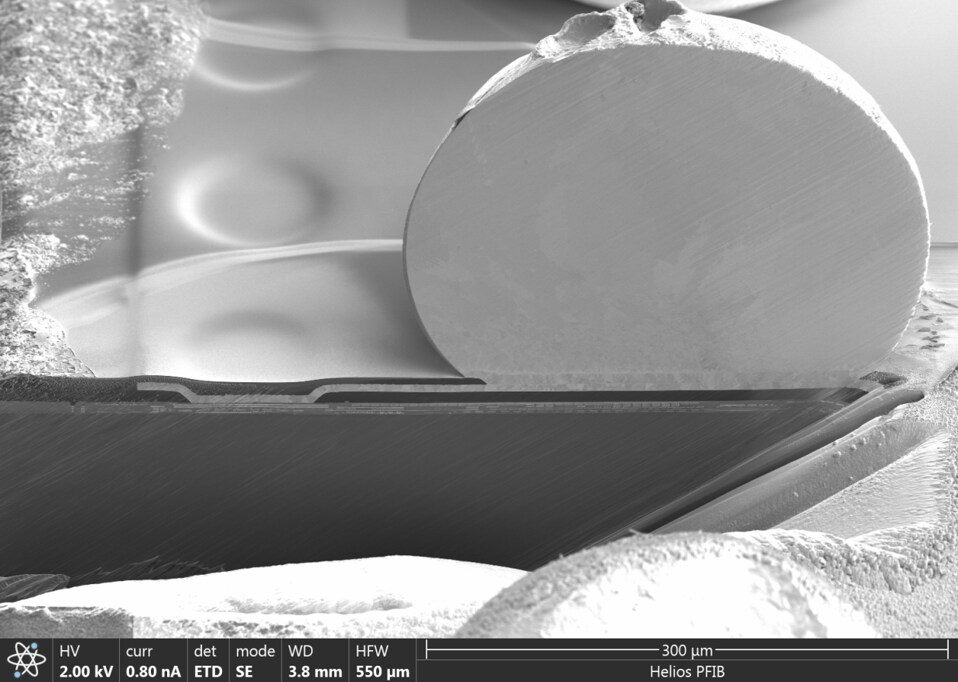 High quality, large-area cross-section of packaging structures in 30 minutes