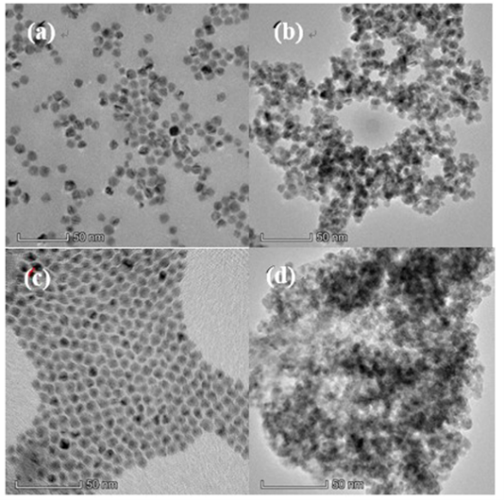 Analyzing particle size and distribution