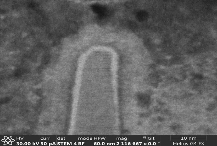 Environmental interference causing image vibration