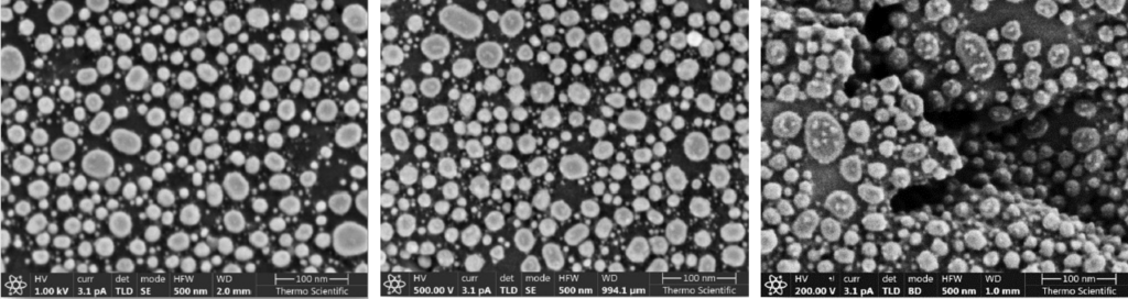 Image resolution comparison of a specimen at different voltages (1 kV, 500 V, and 200 V).