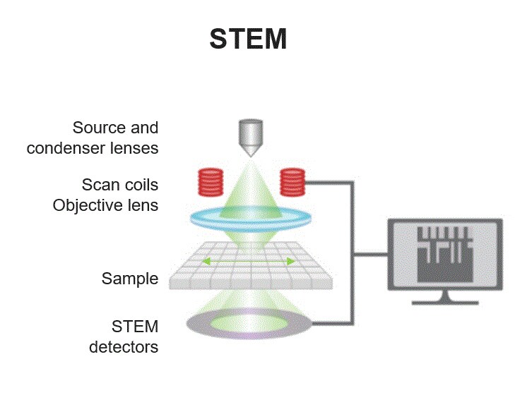 Schematic of STEM mode operation displaying electron source, lenses, scanning coils, specimen holder, detector, and viewing screen in sequence