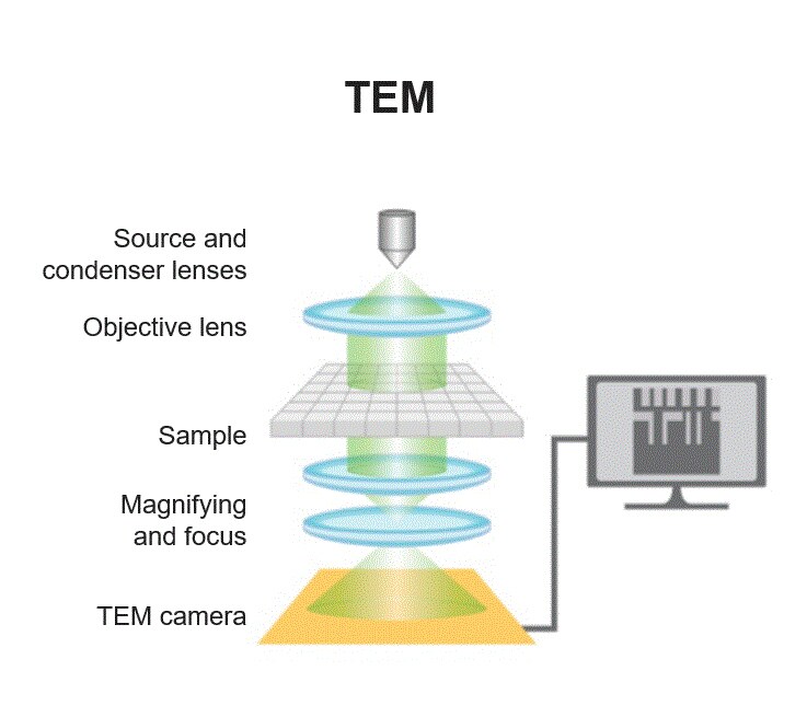 Schematic of TEM mode operation displaying electron source, lenses, specimen holder, and viewing screen in sequence.