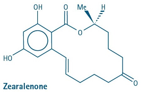 Mycotoxin Zearalanone