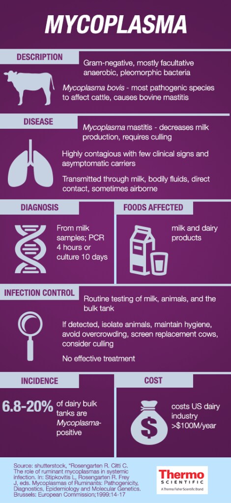 Mycoplasma Infographic