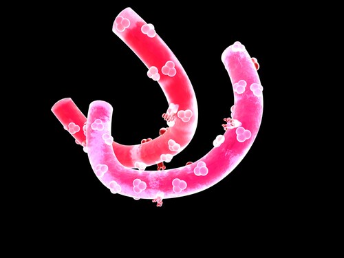Ebola virus with surface proteins. Image: Bildagentur Zoonar GmbH/Shutterstock.com