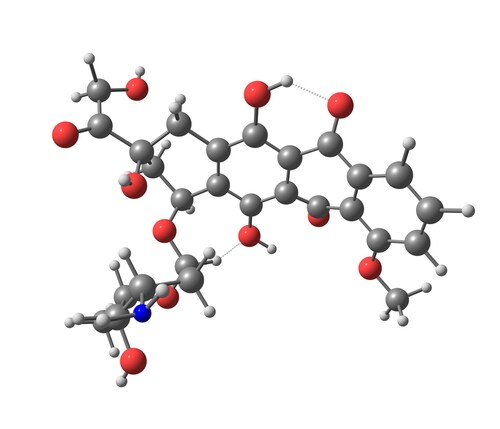 Adriamycin. Image: Shutterstock.com/foxterrier2005