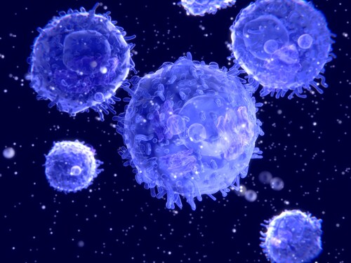 T cells. Image: Juan Gaertner/Shutterstock.com