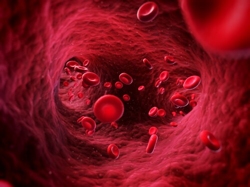 3-D rendering of blood cells in a vein. Image: Sebastian Kaulitzki/Shutterstock.com