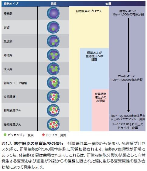いまさら聞けないがんの基礎 1】そもそも”がん”とは？ - Learning at