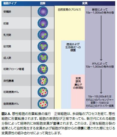 悪性細胞の形質転換の進行
