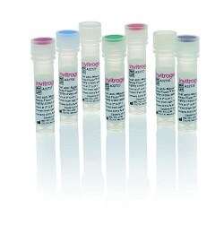 Alexa Fluor Plus Secondary Antibodies