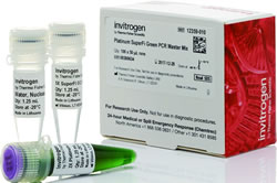 Platinum SuperFi DNA Polymerase